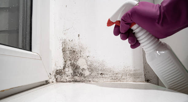 Carpet water damage restoration in Nissequogue, NY